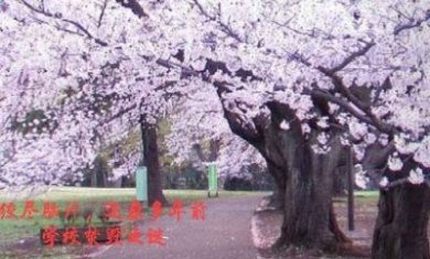 当时实在年纪小游戏最新版图片2