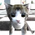 猫咪在密室游戏安卓版