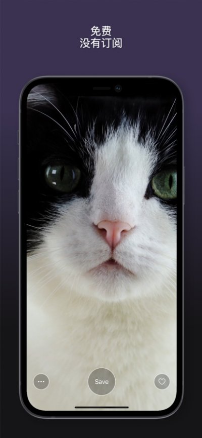 猫动态壁纸app官方版