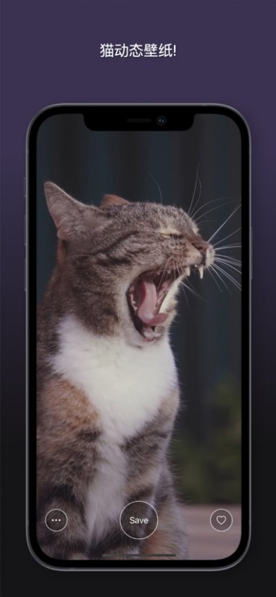 猫动态壁纸app官方版