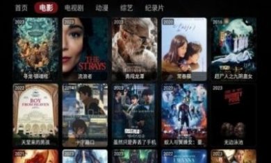 Wocflix影视app最新版