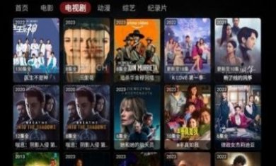 Wocflix影视app最新版