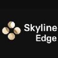 Skyline Edge模拟器app