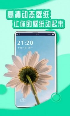 花漾壁纸app安卓版