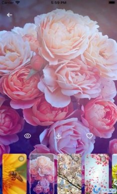 Do Wallpapers壁纸手机版app图片1