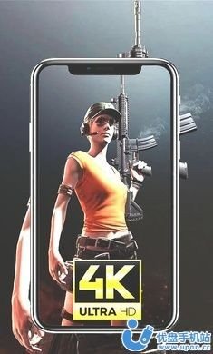 PUBG4K壁纸