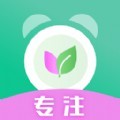 生命时间规划官方版