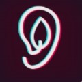 Suear可视采耳app最新版