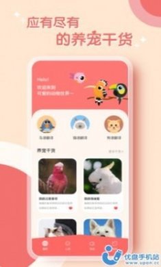 鹦鹉翻译器app官方版