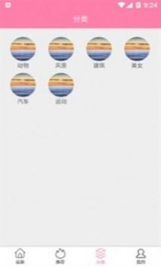 茶杯狐壁纸app安卓版