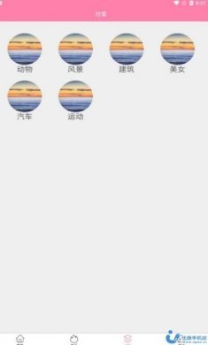 茶杯狐壁纸app安卓版下载图片1