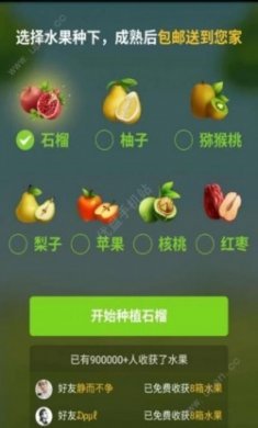 拼多多app正式版