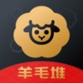 羊毛堆购物app安卓版