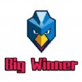 BigWinner商城app安卓版