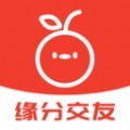 桔缘交友app官方版