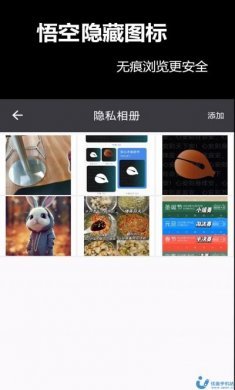 悟空隐藏图标app安卓版图片1