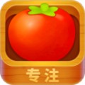番茄Go免费版