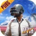 pubg mobile国际版