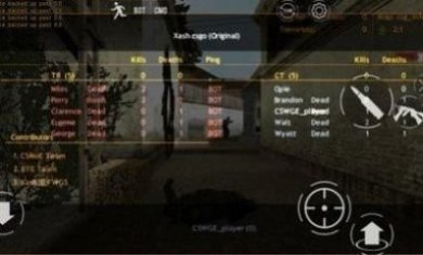 Counter Strike2最新版