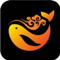 鲸云艺数购物app官方版