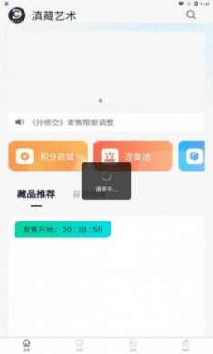 滇藏艺术藏品app官方版