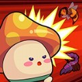 磨叽蘑菇全新版