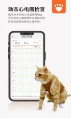 星爱宠健康管理app最新版
