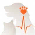 星爱宠健康管理app最新版