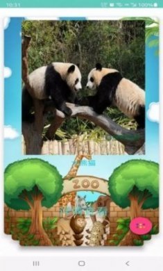 飞飞识动物学习app安卓版