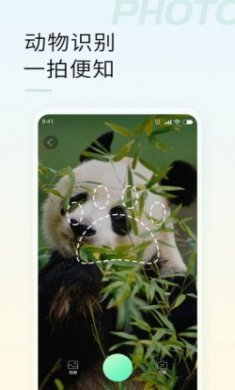 智能拍照识物app手机版