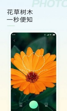 智能拍照识物app手机版图片1