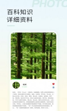 智能拍照识物app手机版图片2
