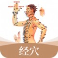 经络穴位标准指南app安卓版