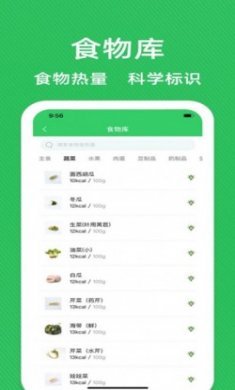 减肥减脂专家安卓版