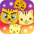 星猫广场app官方手机版