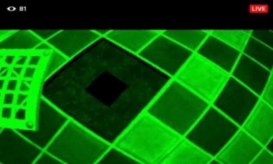 feedvid live恐怖游戏中文版