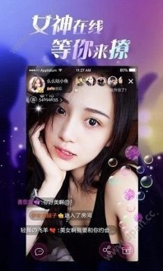 玩洽官方最新版