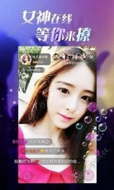 玩洽官方最新版