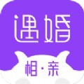 遇婚相亲安卓版app