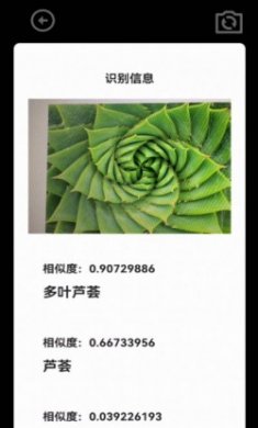 扫描王AI宝盒app最新版