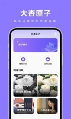 大杏匣子万能识别app最新版