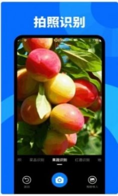 扫描识图大师app手机版