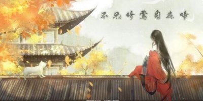 易次元不见娇莺自在啼游戏官方版图片4