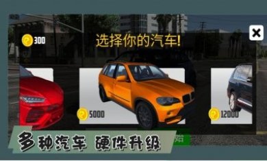 最强赛车手竞速游戏安卓版图片1
