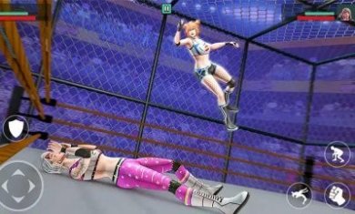 综合格斗大逃杀游戏中文版（Wrestling Empire）图片1