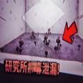 堕落的基金会游戏中文版