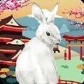 兔子蹦跳最新版游戏Odisea