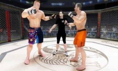 拳击格斗战术游戏中文版（Martial Arts Fighting Games）