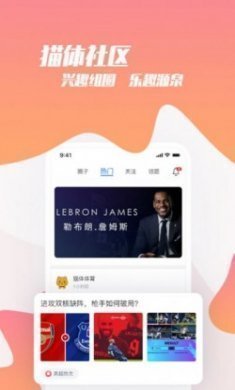 猫体比分app免费版
