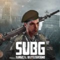 SUBG游戏中文版